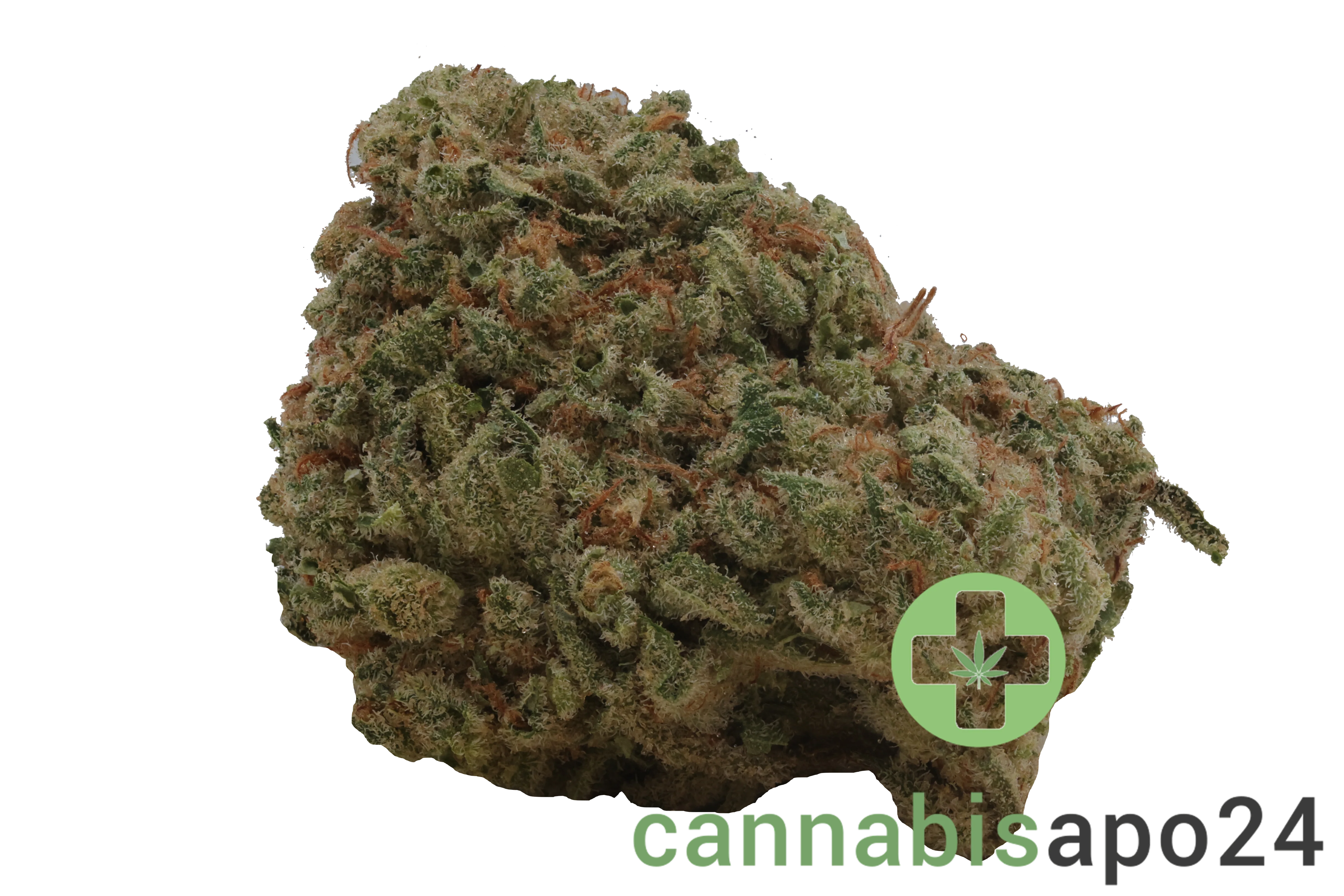 Nimbus Health